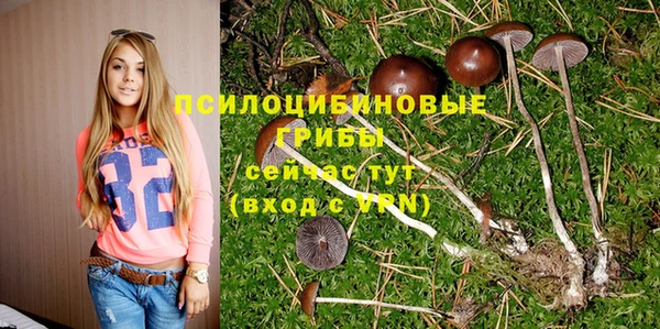 ECSTASY Алексеевка