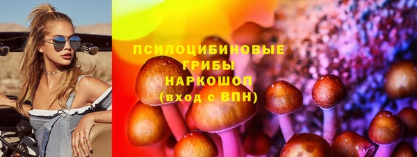 гидропоника Алзамай